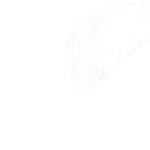 Footer Image