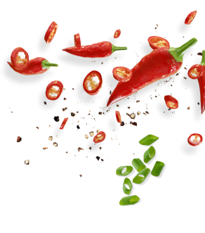Vector